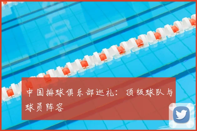 中国排球俱乐部巡礼：顶级球队与球员阵容