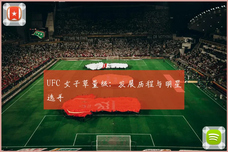 UFC 女子草量级：发展历程与明星选手
