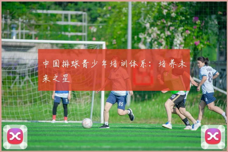 中国排球青少年培训体系：培养未来之星
