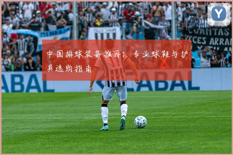 中国排球装备推荐：专业球鞋与护具选购指南