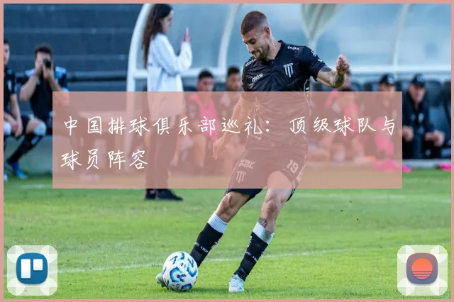 中国排球俱乐部巡礼：顶级球队与球员阵容